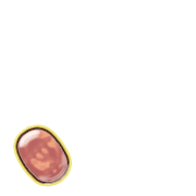 256