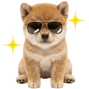 007