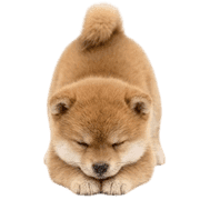 012