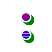 244