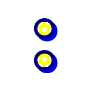 244