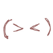 016