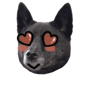 004