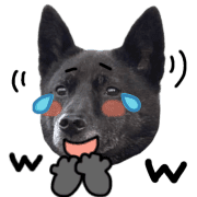 015