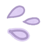 017