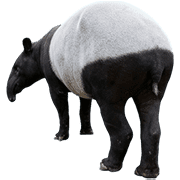 037