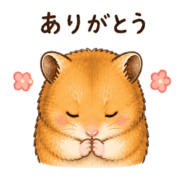 033