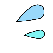 029