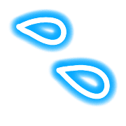 009