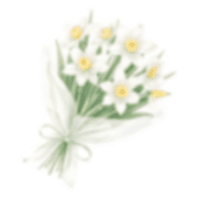 028