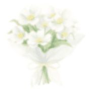 036