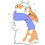 003