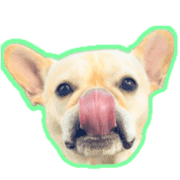 004