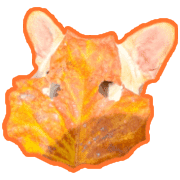 005