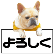 019