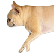 039