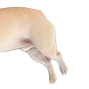 040