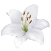 018