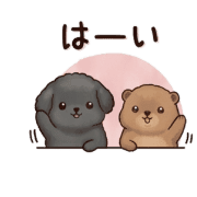 005