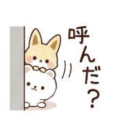 010