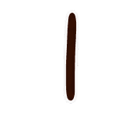 081