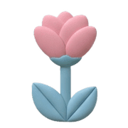 005