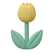 008