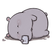 031