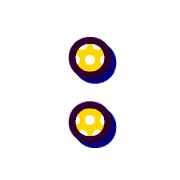 244