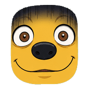 003
