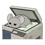 010