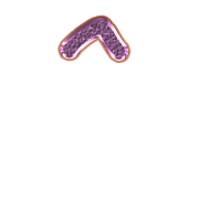 231