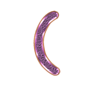 234