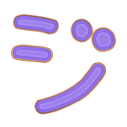 142