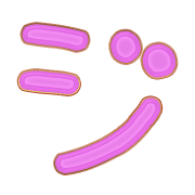142