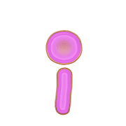 196