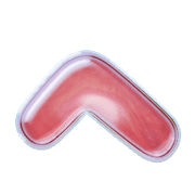 029