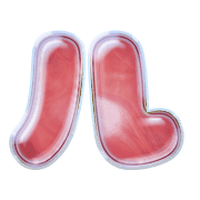 121
