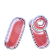 156