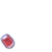 256