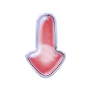 261