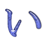 002