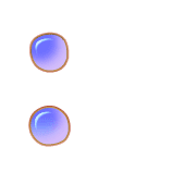 244