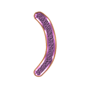 235