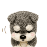 006