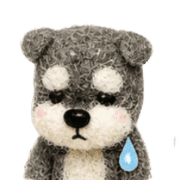 010