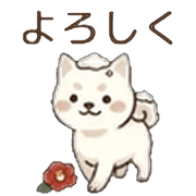 010