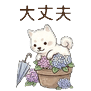 031