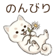 032