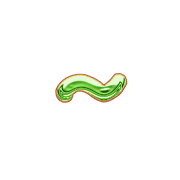 224